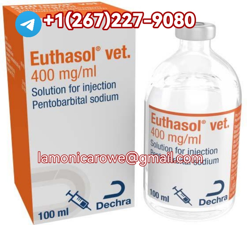 +1267.227.9080.Buy Sodium Pentobarbital (Nembutal) In Hamshire, Bristol, York, Manchester And Birmingham England